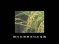 美濃的NEXT農業時代/序場