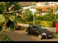 videos de pidgeon meet car bonet