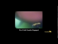 Click here to watch this video VideoRay Pro 4 Hull Inspection Training Excercise - Miami Cruise Ship Terminal