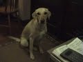 I want to go OUT I want to go OUT