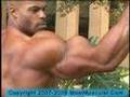 DVD-Guns-23-Four-big