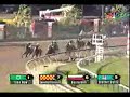 A video of Barbaro's fateful Preakness to the sounds of 'Fix You' by Coldplay.(do not, under any circumstances, redistribute this and take credit for it. i will hunt you down. thanks. :])**NOTE: I would greatly appreciate it if a huge argument/dispute did not erupt in the comments. All of your opinions are valued and warranted, but this video was made in memoriam of Barbaro and his heart and not as a topic for debate.If arguments continue to break out, comments will be disabled.Thanks for watching! :)