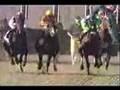 Barbaro Preakness