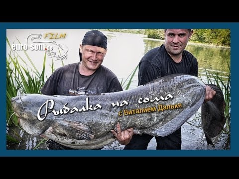 видео ловля сома осень видео ловля сома осень