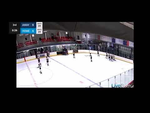 Assist to tie game again 6-6