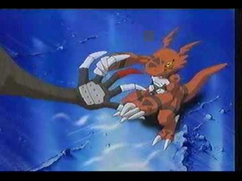 digimon kari