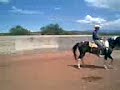 charros d acolman