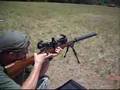 Suppressed .223 rifle with ultra-quiet Ciener can