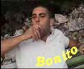 Bonito