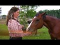 Equitrekking Travel Alberta Ranch Vacation