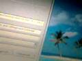 videos de How to do the ddcheat for abe's oddysee.
