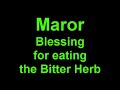Passover - Blessing for Maror(Bitter Herb) in ASL