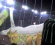 BVB Borussia Dortmund - Jena Heja BVB Choreo hier regiert...