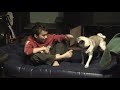 Boy vs Dog
