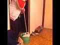 Ostión fregando