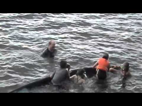 See video