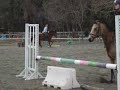 24202007.html