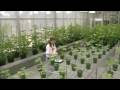 Must-see documentary about GMO ~~ Part 01 of 10
