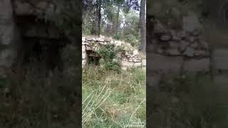 قوله قريه قرب المزيرعه ومحدل صادق بلده الشيخ حسن سلامه قوله قريه قرب المزيرعه ومحدل صادق بلده الشيخ حسن سلامه