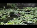Dagje Dierentuin