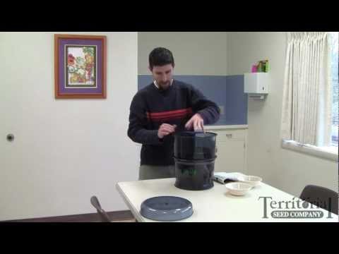 How to use the Freshlife Sprouter