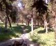 Mountain Bike in Alsos-Filadelfeia