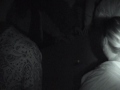 Opi ghost hunts.