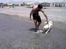 choripan nadando en motril