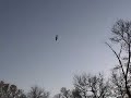 Midwest Wild 001