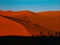 LIBYA - Enchanting Libyan Music