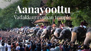 Click to view the video of Anayoottu at Vadakkumnathan Temple
