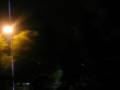 videos de Toreddo Ubriaco