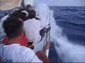 Speed Sailing on board the Dealer.