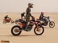 West-Desert-EGYPT-20