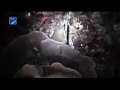 20080301-06泰國斯米蘭船潛6日3