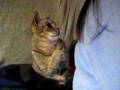 videos de MVI_0761.AVI