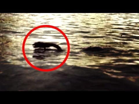 Lake - Share your story & we might make it a video! http://bit.ly/1gU183i Support the channel & get exclusive deals: http://bit.ly/Y3er3B ----------------------- FH...