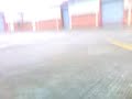 wardys very first ollies
