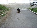 This branch must be mine!