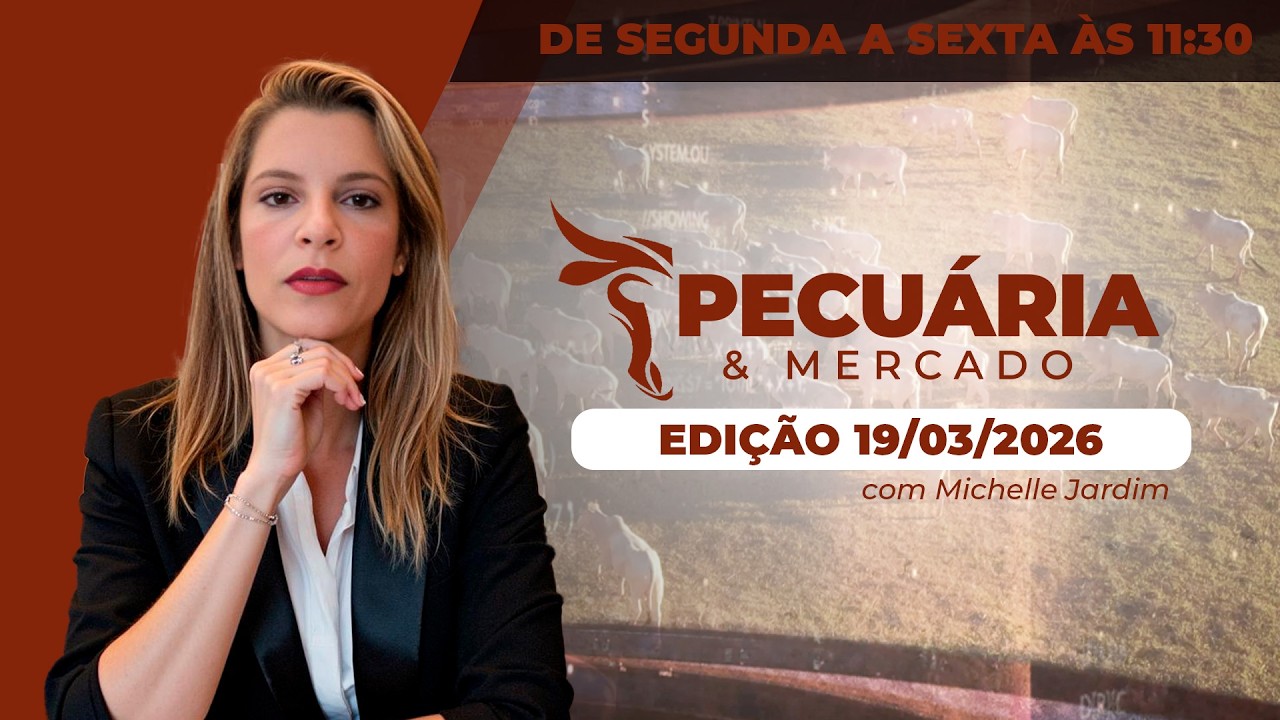 PECUÁRIA E MERCADO - EDIÇÃO 19/03/2026