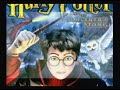 Harry Potter And The Sorcerers Stone