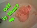 Scientific Tuesdays - Neverending Foam Snake!