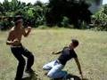 Team-Dynasty-Fightin