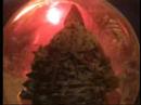 Santa Claus in Red II