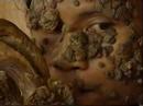 El hombre arbol goes to hollywood 2
