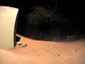 50 Percent Auto Parts: The future of skateboarding