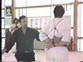 Hojo jutsu