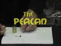 Peacan.