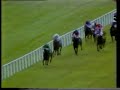 Shergar - 1981 irish derby