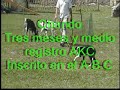 100% instinto